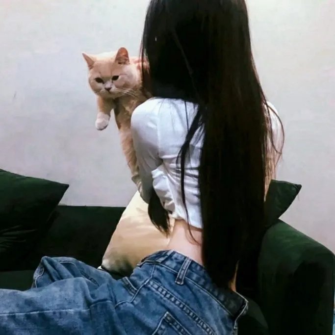 辛白林